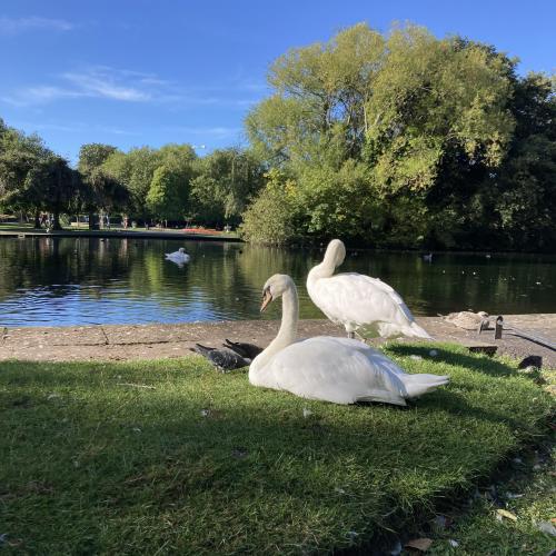 9T_DublinPark1_2024